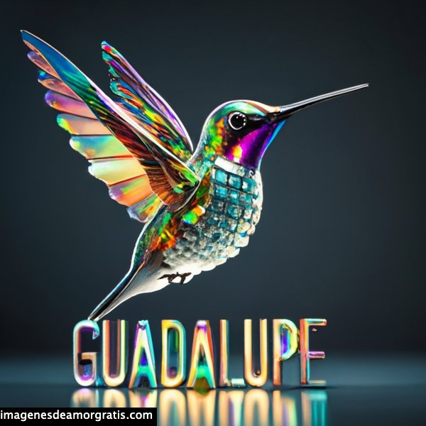 imagenes nombres 3d colibrí guadalupe