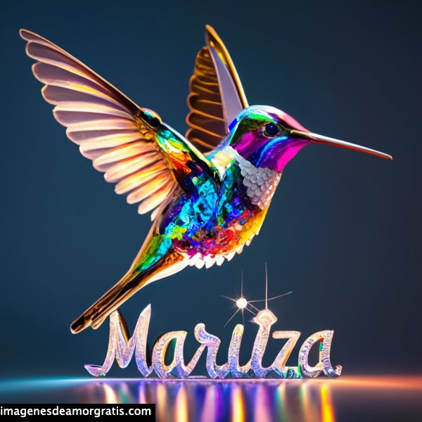 imagenes nombres 3d colibrí maritza